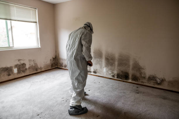 Best Crawl Space Mold Removal  in Santa Fe Springs, CA